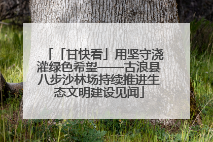 「甘快看」用坚守浇灌绿色希望——古浪县八步沙林场持续推进生态文明建设见闻