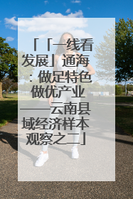 「一线看发展」通海：做足特色 做优产业——云南县域经济样本观察之二