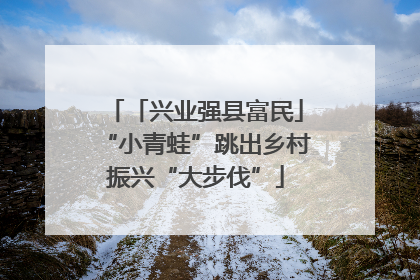 「兴业强县富民」“小青蛙”跳出乡村振兴“大步伐”