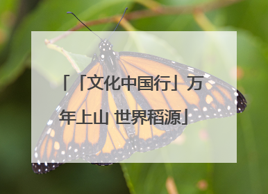 「文化中国行」万年上山 世界稻源