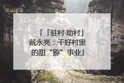 「驻村·助村」戴永亮：干好村里的甜“猕”事业