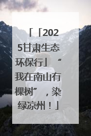 「2025甘肃生态环保行」“我在南山有棵树”，染绿凉州！