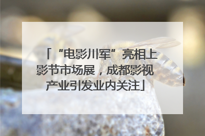 “电影川军”亮相上影节市场展，成都影视产业引发业内关注