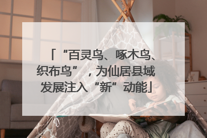 “百灵鸟、啄木鸟、织布鸟”，为仙居县域发展注入“新”动能