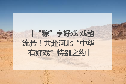 “粽”享好戏 戏韵流芳！共赴河北“中华有好戏”特别之约