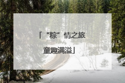 “粽”情之旅 童趣满溢