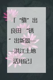 “缝”出良田 “锈”出新景——洪江土地活用记
