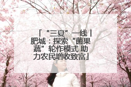 “三夏”一线丨肥城：探索“菌果蔬”轮作模式 助力农民增收致富