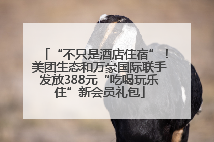 “不只是酒店住宿”！美团生态和万豪国际联手发放388元“吃喝玩乐住”新会员礼包