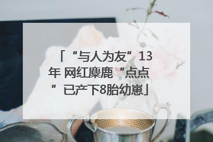 “与人为友”13年 网红麋鹿“点点”已产下8胎幼崽