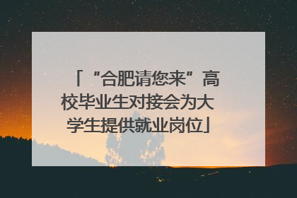 “合肥请您来”高校毕业生对接会为大学生提供就业岗位