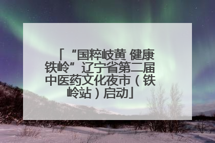 “国粹岐黄 健康铁岭”辽宁省第二届中医药文化夜市（铁岭站）启动