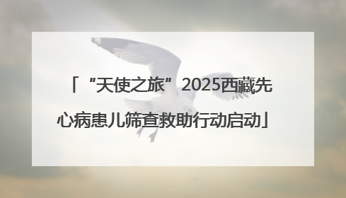 “天使之旅”2025西藏先心病患儿筛查救助行动启动