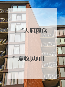 “天府粮仓”夏收见闻