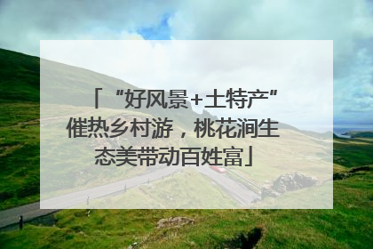 “好风景+土特产”催热乡村游，桃花涧生态美带动百姓富