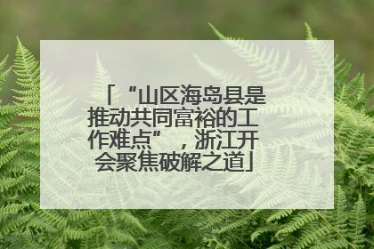 “山区海岛县是推动共同富裕的工作难点”，浙江开会聚焦破解之道