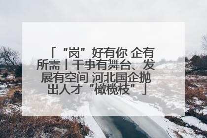 “岗”好有你 企有所需丨干事有舞台、发展有空间 河北国企抛出人才“橄榄枝”
