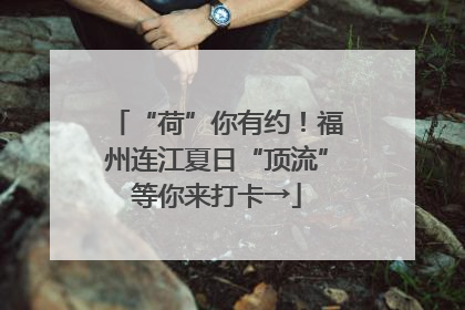 “荷”你有约！福州连江夏日“顶流”等你来打卡→