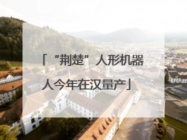 “荆楚”人形机器人今年在汉量产