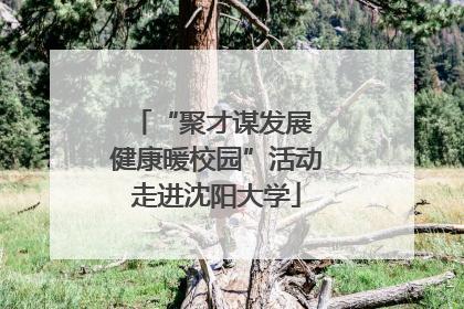 “聚才谋发展 健康暖校园”活动走进沈阳大学