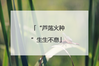 “芦荡火种”生生不息