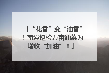 “花香”变“油香”！南漳巡检万亩油菜为增收“加油”！