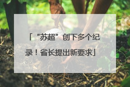 “苏超”创下多个纪录！省长提出新要求