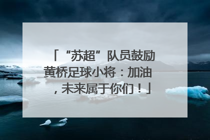 “苏超”队员鼓励黄桥足球小将：加油，未来属于你们！