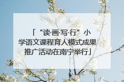 “读·画·写·行”小学语文课程育人模式成果推广活动在南宁举行