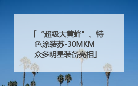 “超级大黄蜂”、特色涂装苏-30MKM 众多明星装备亮相