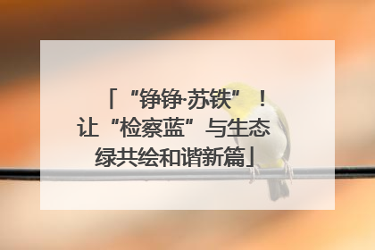 “铮铮·苏铁”！让“检察蓝”与生态绿共绘和谐新篇
