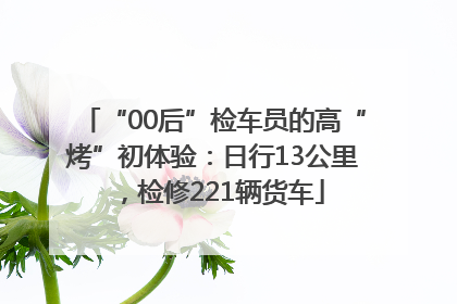 “00后”检车员的高“烤”初体验：日行13公里，检修221辆货车