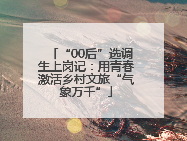 “00后”选调生上岗记：用青春激活乡村文旅“气象万千”