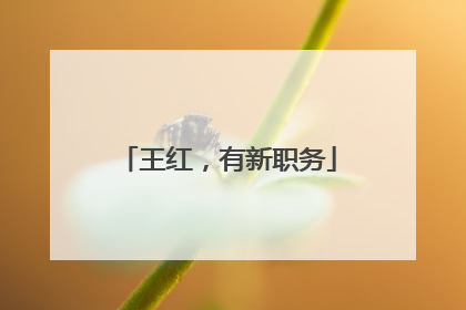 王红，有新职务