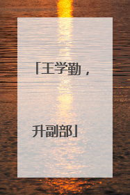 王学勤，升副部