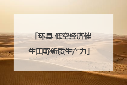 环县 低空经济催生田野新质生产力