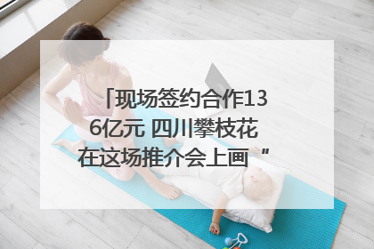 现场签约合作136亿元 四川攀枝花在这场推介会上画“图谱”列“清单”
