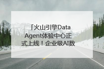 火山引擎Data Agent体验中心正式上线！企业级AI数据专家触手可及