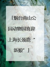 烟台南山公园动物园喜迎上海长颈鹿“新娘”