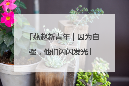 燕赵新青年｜因为自强，他们闪闪发光