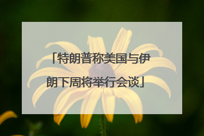 特朗普称美国与伊朗下周将举行会谈