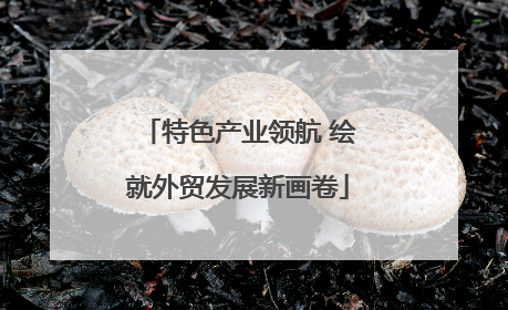 特色产业领航 绘就外贸发展新画卷