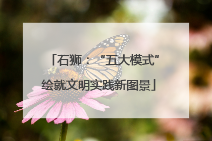 石狮：“五大模式”绘就文明实践新图景