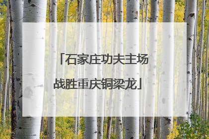 石家庄功夫主场战胜重庆铜梁龙