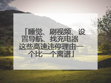 睡觉、刷视频、设置导航、找充电器 这些高速违停理由一个比一个离谱