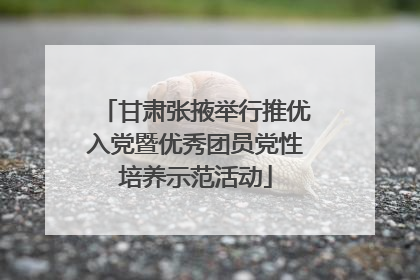 甘肃张掖举行推优入党暨优秀团员党性培养示范活动