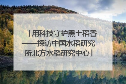 用科技守护黑土稻香——探访中国水稻研究所北方水稻研究中心
