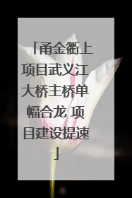 甬金衢上项目武义江大桥主桥单幅合龙 项目建设提速