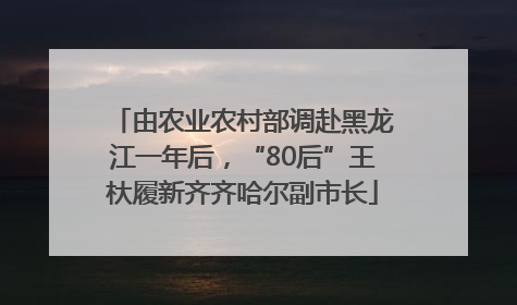 由农业农村部调赴黑龙江一年后，“80后”王杕履新齐齐哈尔副市长