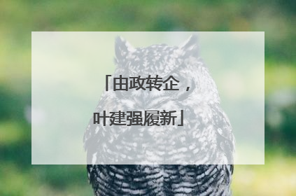 由政转企，叶建强履新